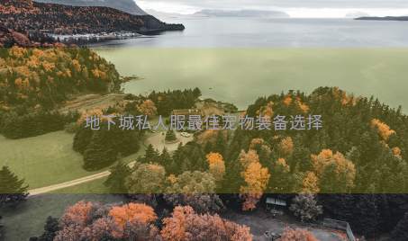 地下城私人服最佳宠物装备选择